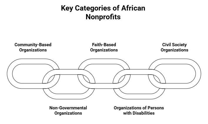 Categories of African nonprofits