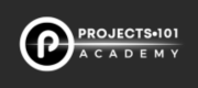 Logo for Projects101.org