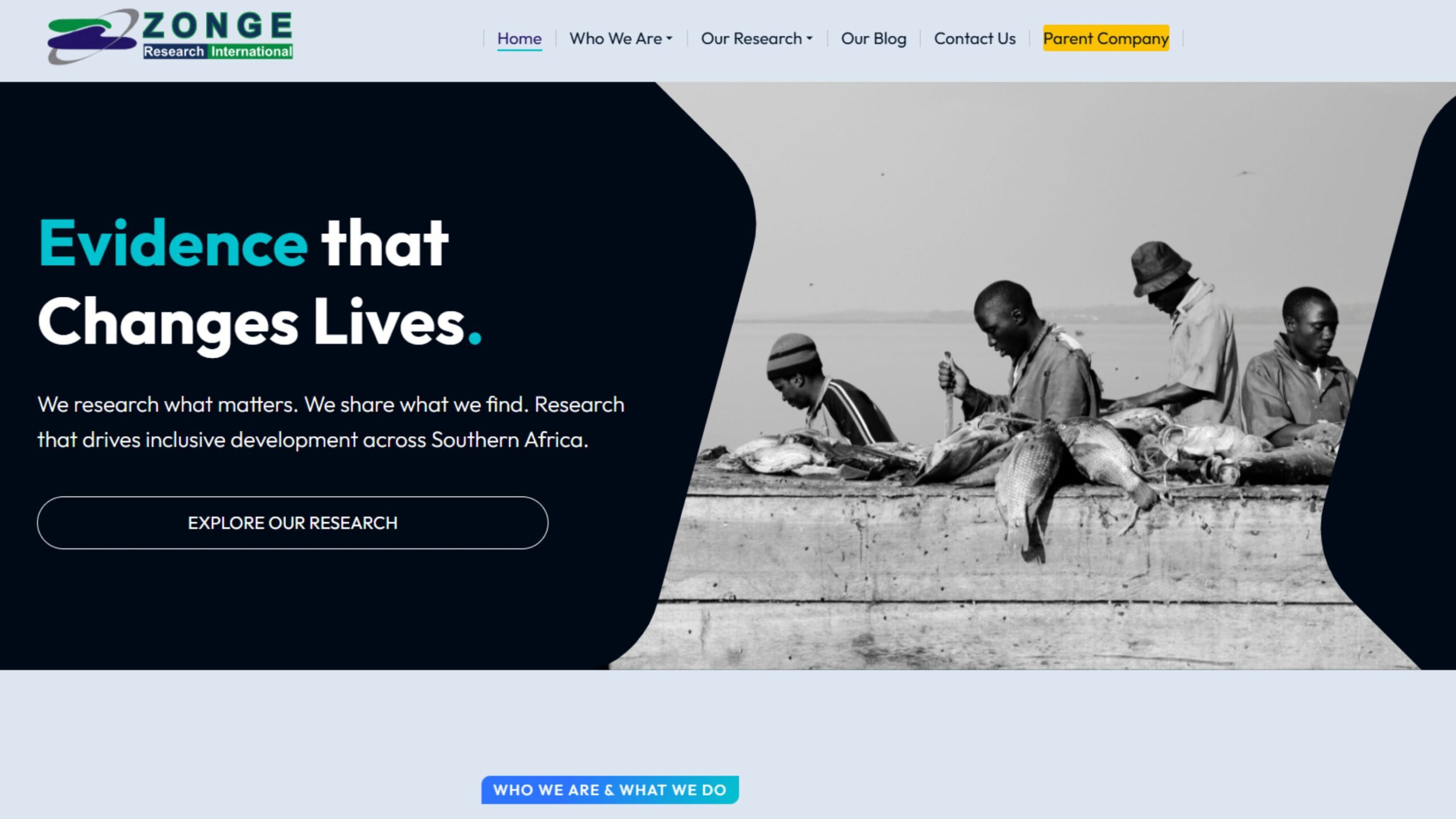Zonge Research International website thumbnail