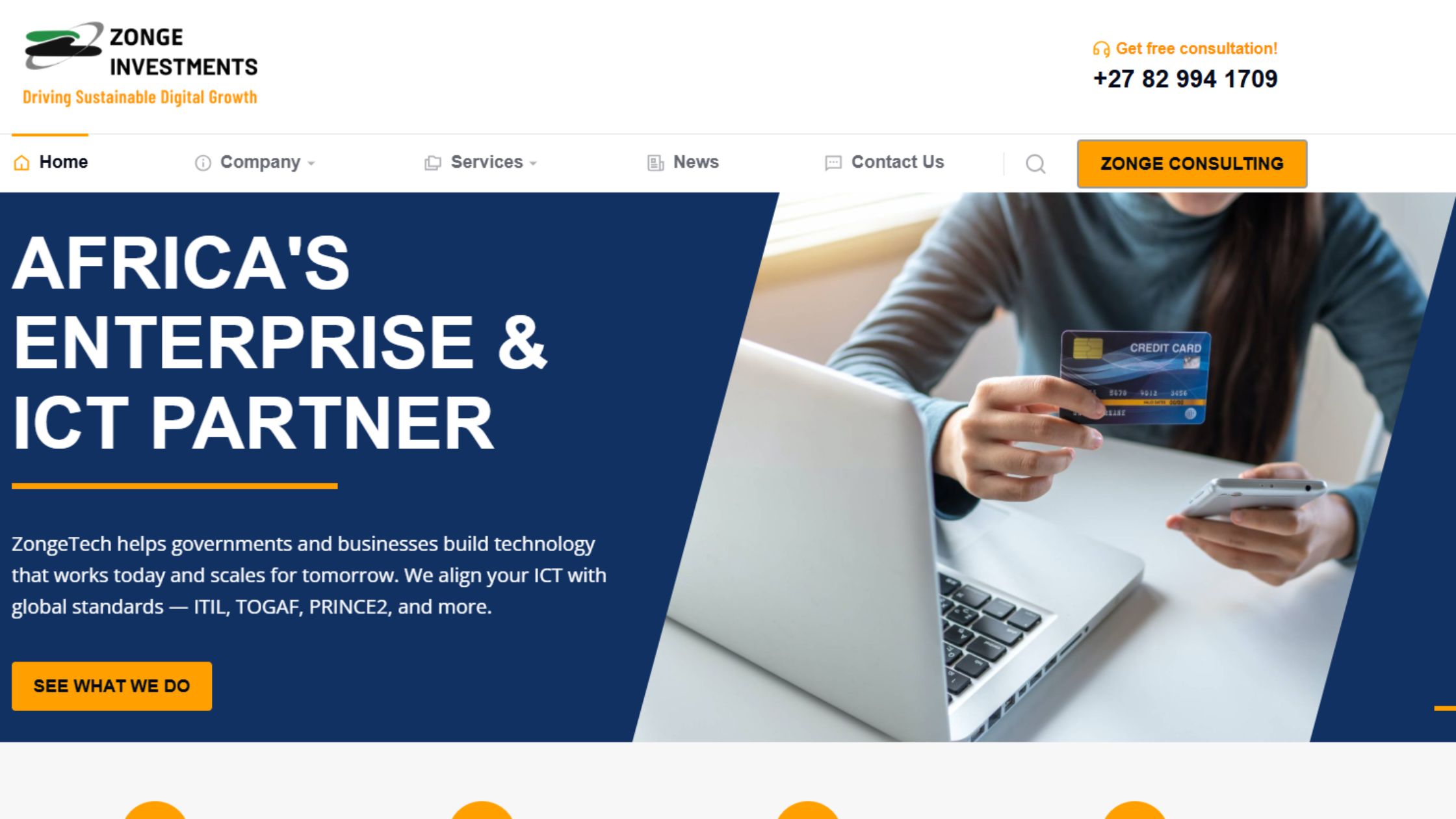 Zonge Investments website thumbnail